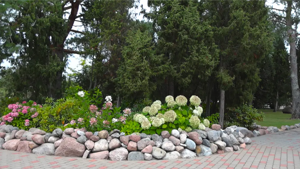 Implantacion de parterres con plantas aromaticas Plantium